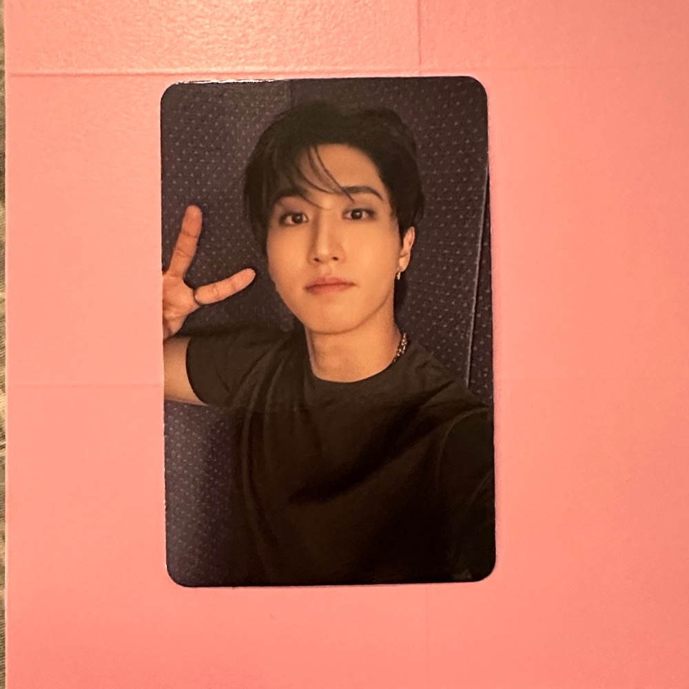 Stray Kids Do It Han Accordion PC